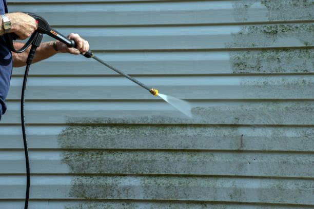 Professional Pressure Washing Services in Feather Sound, FL
