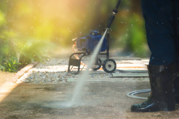 Animal Enclosure Cleaning in Feather Sound, FL